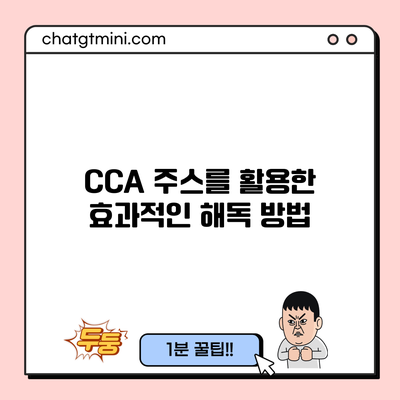 CCA 주스를 활용한 효과적인 해독 방법