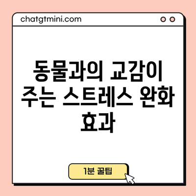 동물과의 교감이 주는 스트레스 완화 효과