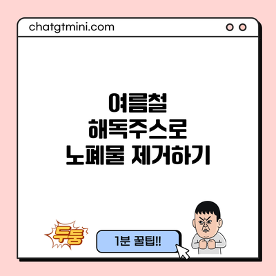 여름철 해독주스로 노폐물 제거하기