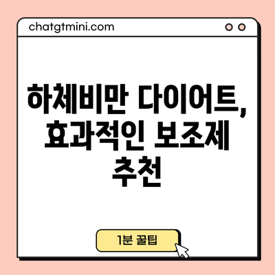 하체비만 다이어트, 효과적인 보조제 추천