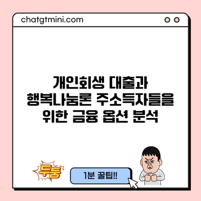 개인회생 대출과 행복나눔론: 주소득자들을 위한 금융 옵션 분석