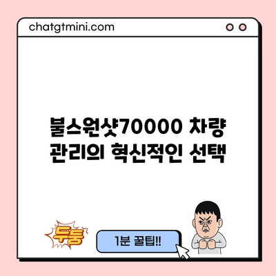 불스원샷70000: 차량 관리의 혁신적인 선택