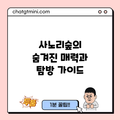 사노리숲의 숨겨진 매력과 탐방 가이드