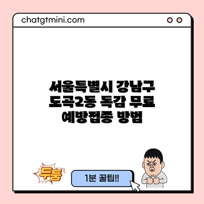 서울특별시 강남구 도곡2동 독감 무료 예방접종 방법