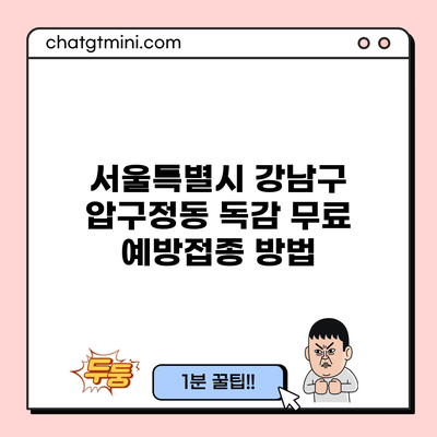 서울특별시 강남구 압구정동 독감 무료 예방접종 방법