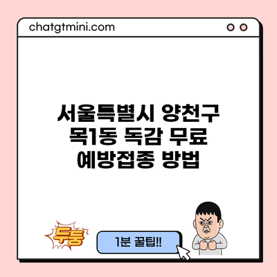 서울특별시 양천구 목1동 독감 무료 예방접종 방법