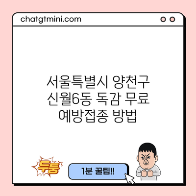 서울특별시 양천구 신월6동 독감 무료 예방접종 방법