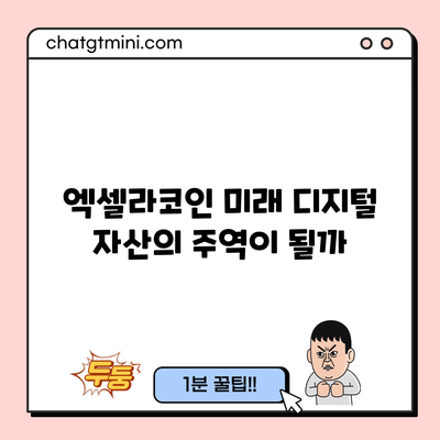 엑셀라코인: 미래 디지털 자산의 주역이 될까?