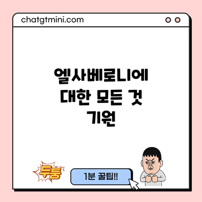 엘사베로니에 대한 모든 것: 기원