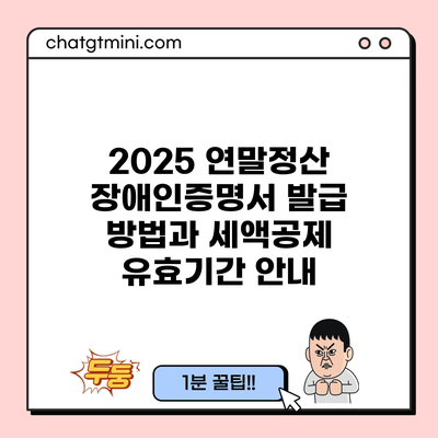 2025 연말정산 장애인증명서 발급 방법과 세액공제 유효기간 안내