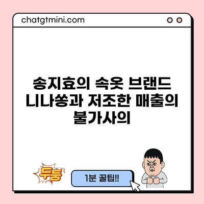 송지효의 속옷 브랜드 니나쏭과 저조한 매출의 불가사의