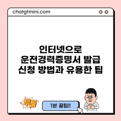 인터넷으로 운전경력증명서 발급 신청 방법과 유용한 팁