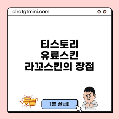 티스토리 유료스킨 라꼬스킨의 장점