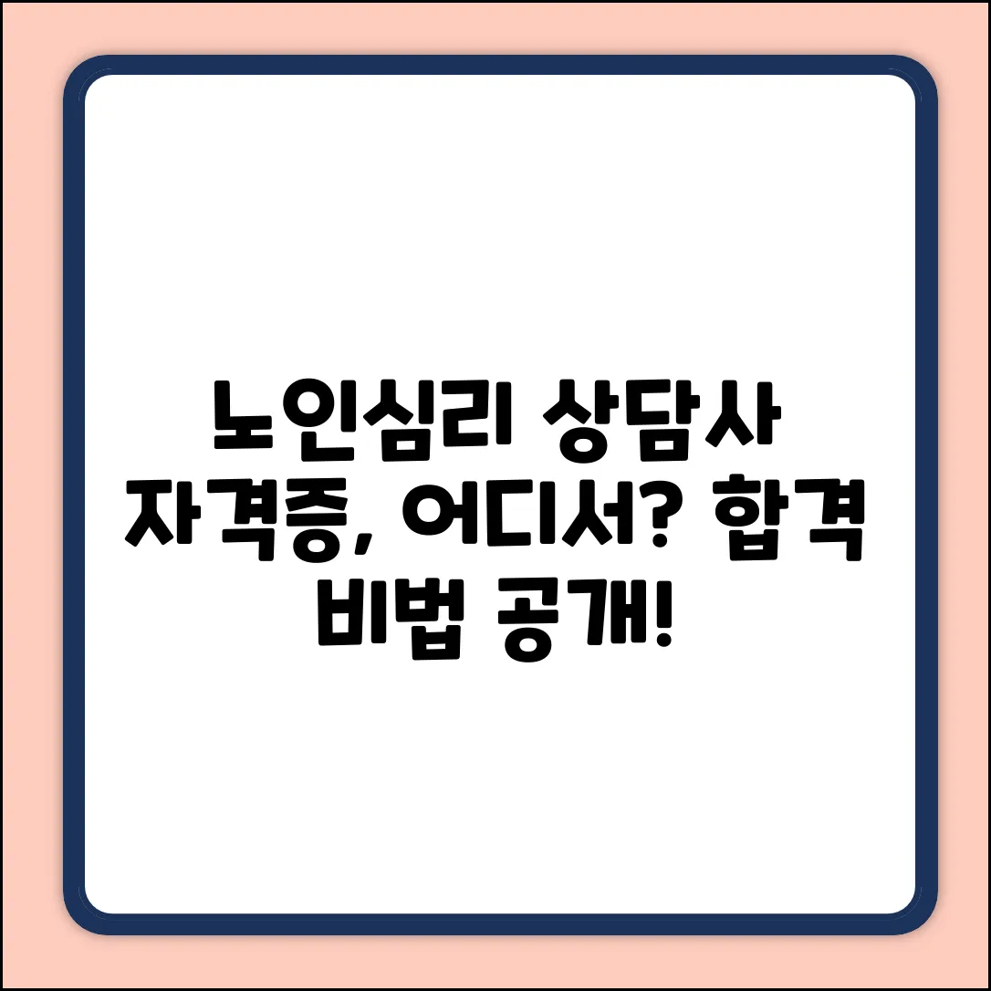 노인심리상담사자격증, 어디서 발급받아야 할까?