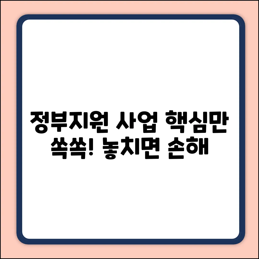 정부지원 사업 완벽 가이드: 핵심만 쏙!