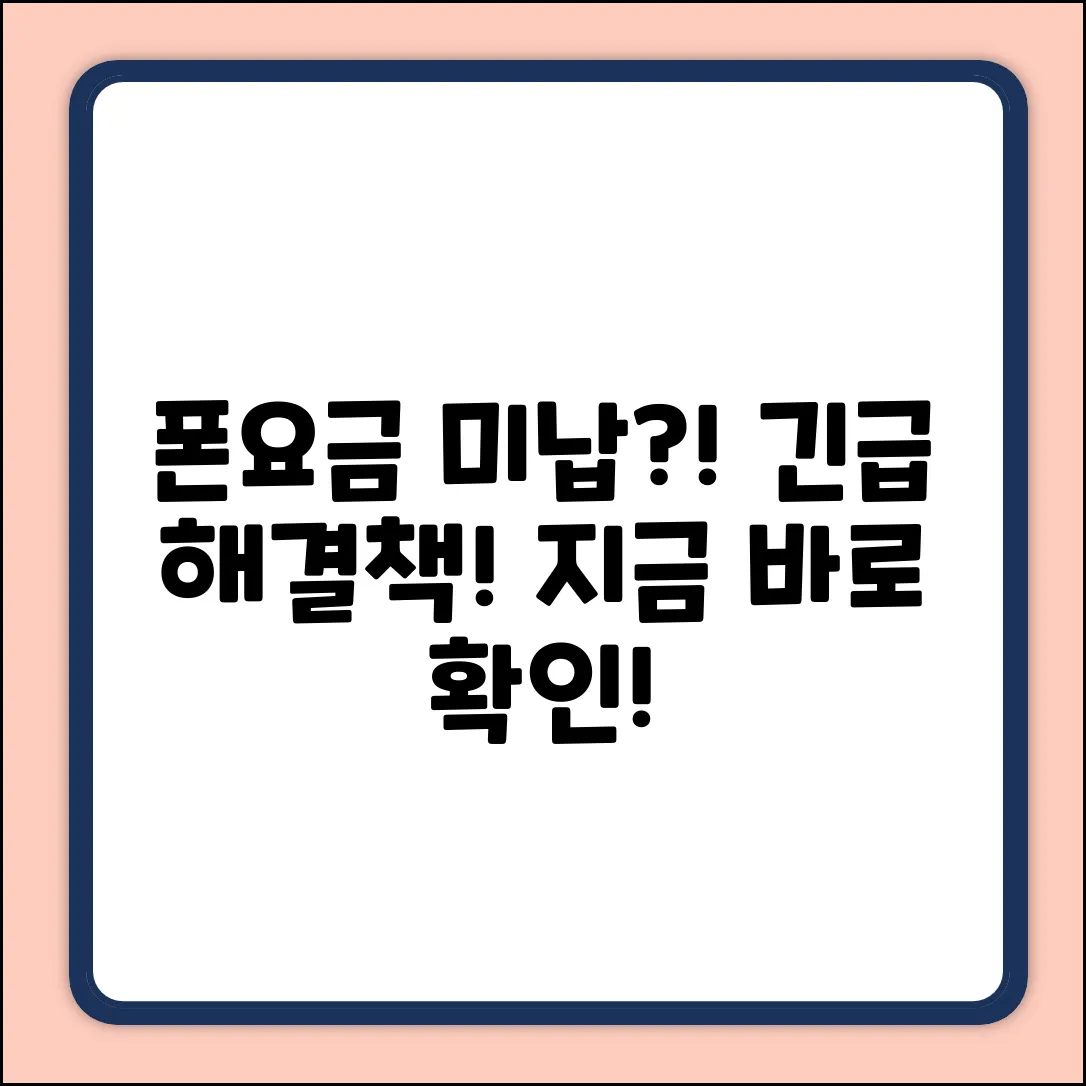 핸드폰 요금 미납, 해결책이 있을까?