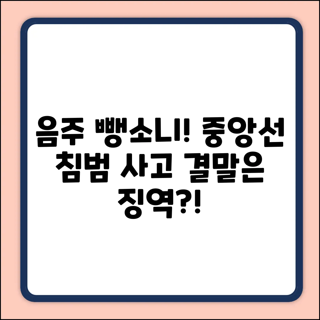 음주 뺑소니, 중앙선 침범…교통사고의 결말은?