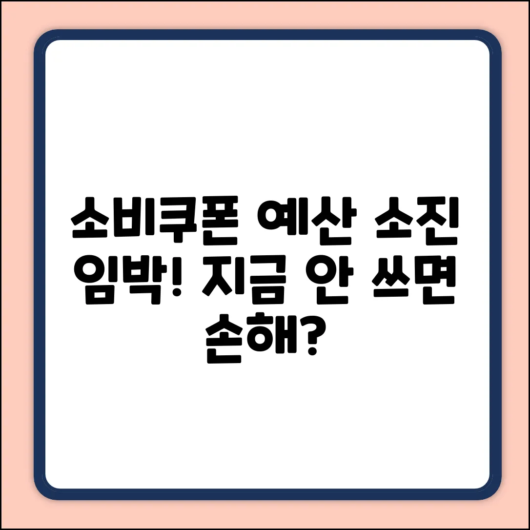 민생회복 소비쿠폰, 예산 소진 전에 써야 할까?