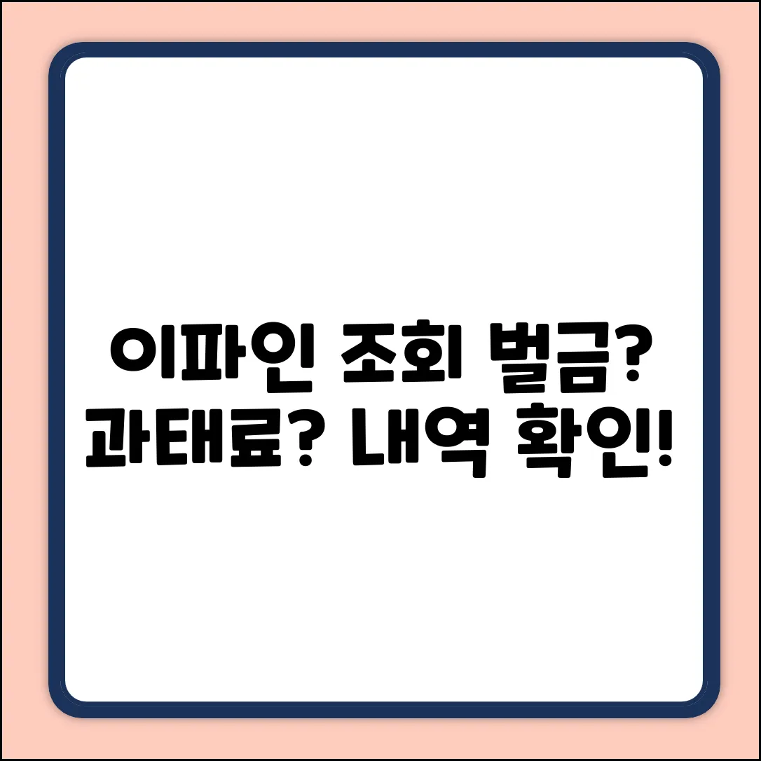 이파인 조회 완벽 가이드: 무엇을 볼 수 있나?