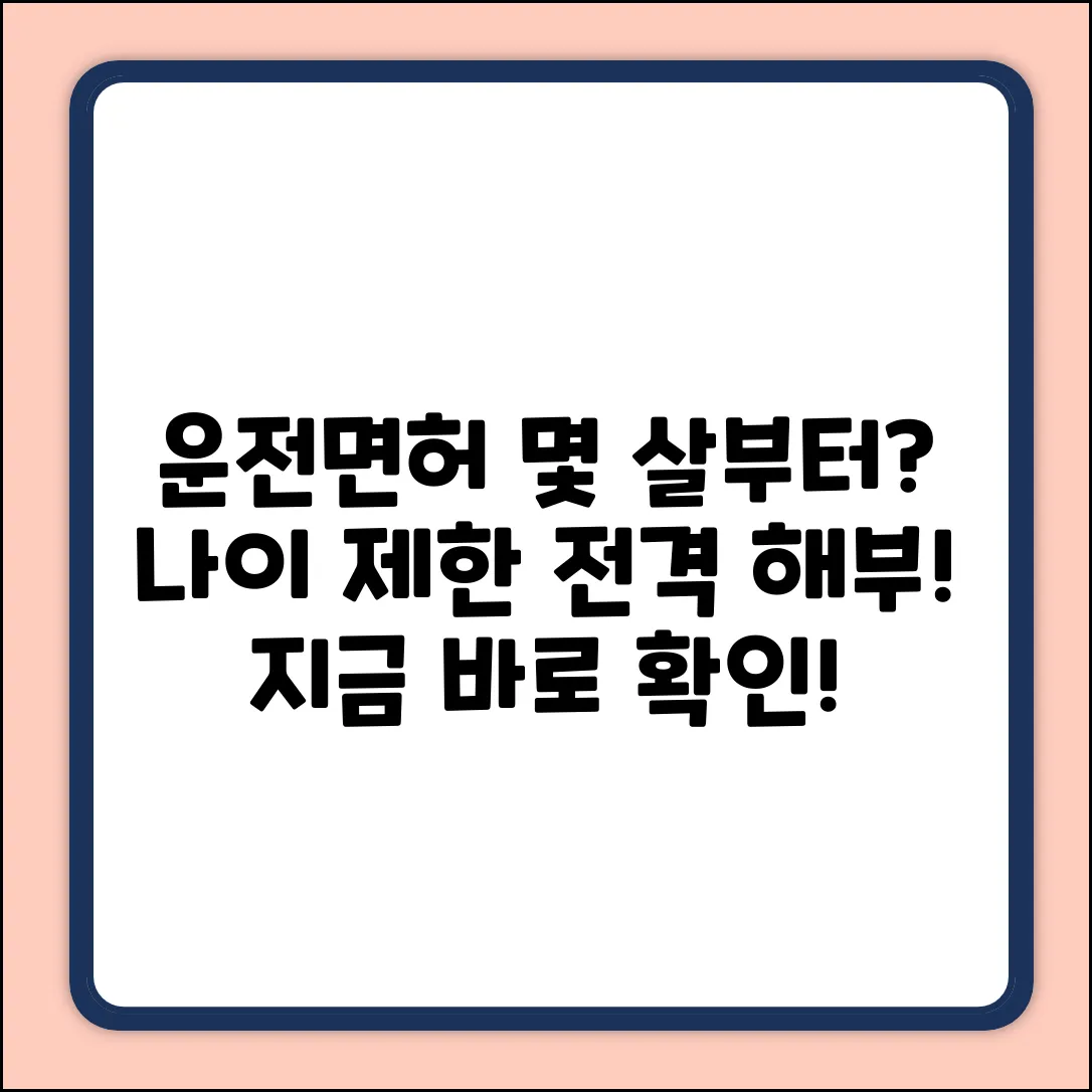 운전면허 응시 나이, 몇 살부터 가능할까요?