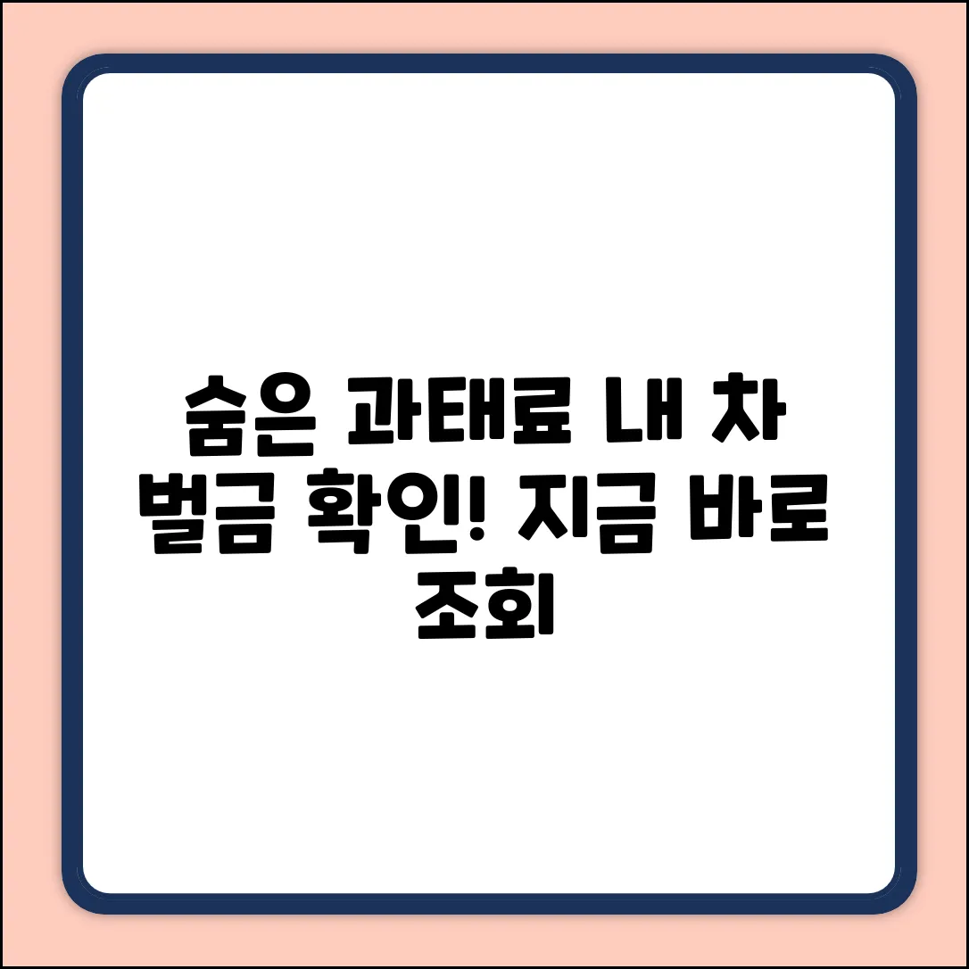 자동차 과태료 조회, 혹시 숨은 내역이?