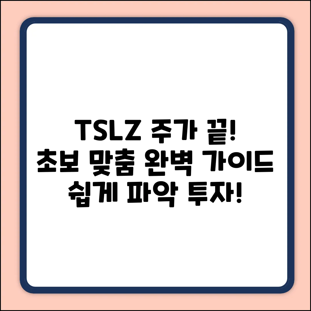 TSLZ 주가 쉽게 파악! 초보 투자자를 위한 완벽 가이드