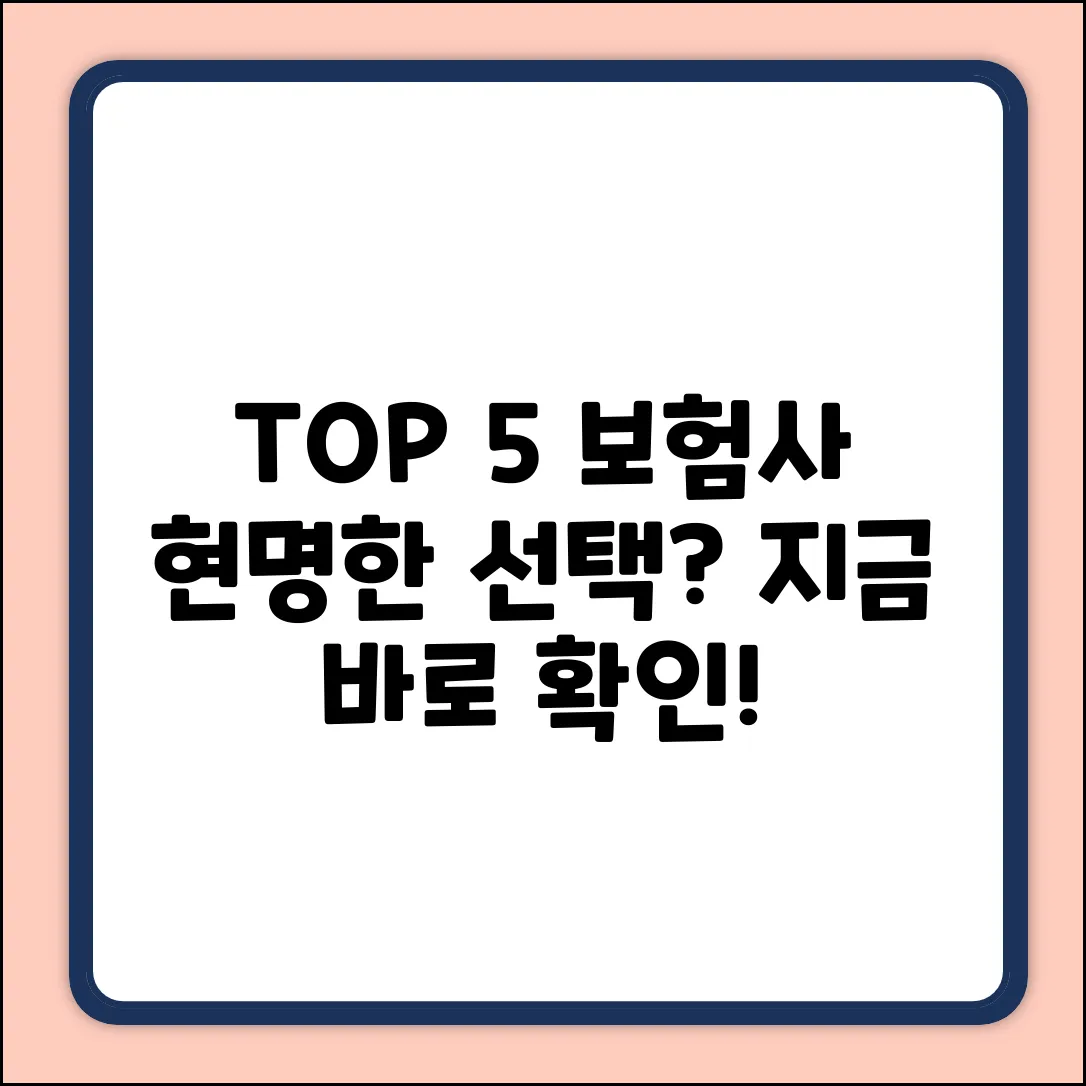 보험사추천 TOP 5! 현명한 선택 가이드