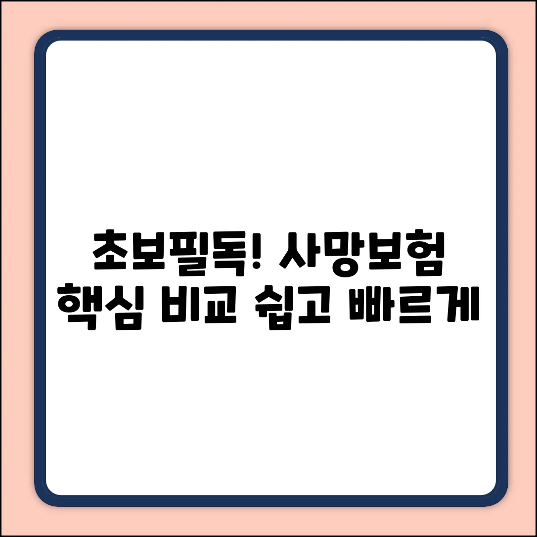 초보도 쉽게! 사망보험 비교 핵심만 쏙