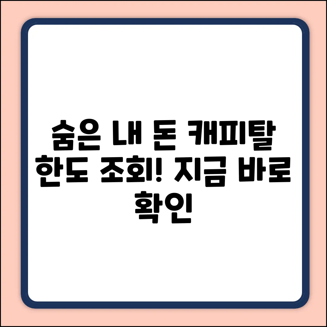 숨겨진 내 돈 찾기! 캐피탈 한도 조회