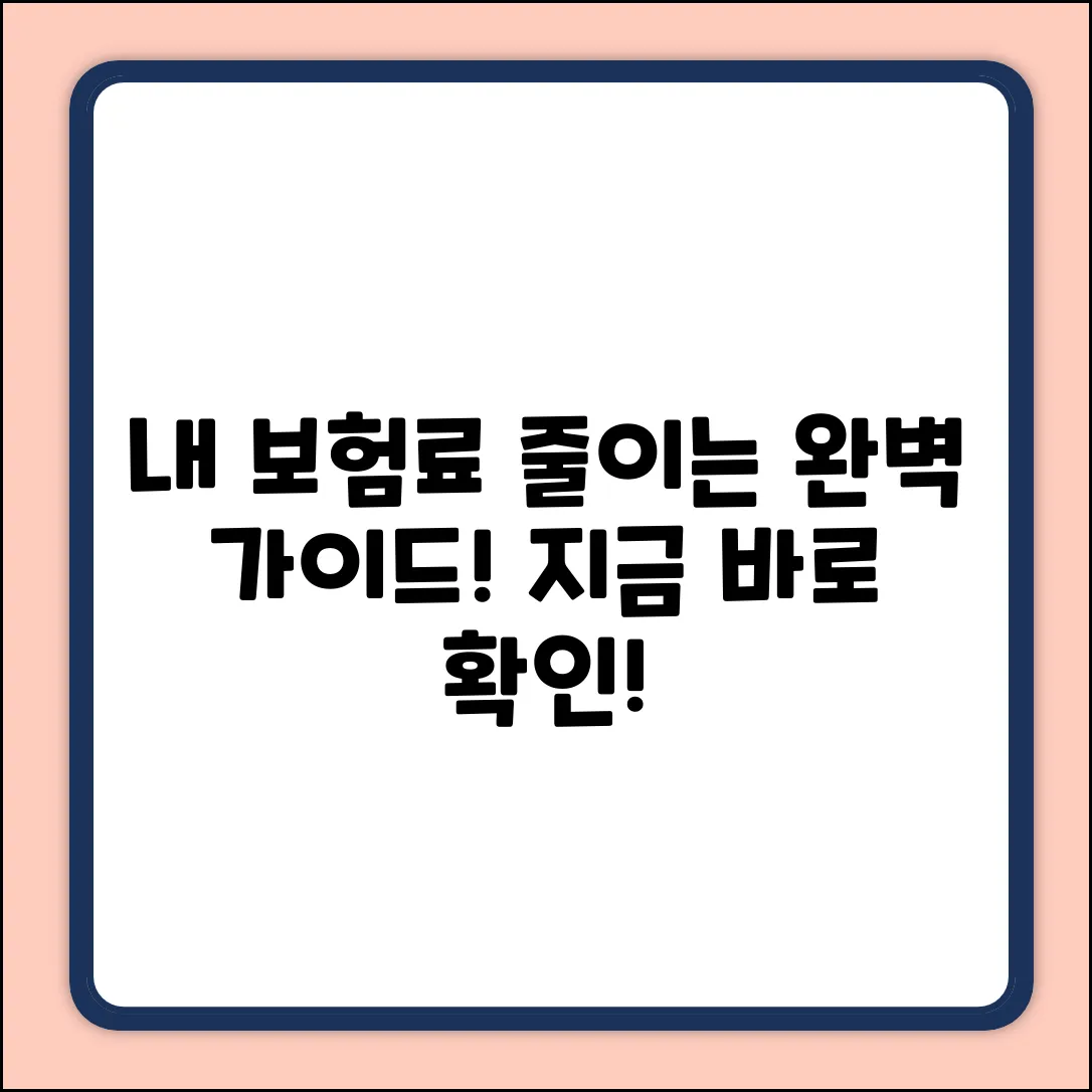 내보험점검 완벽 가이드: 보험료 다이어트!